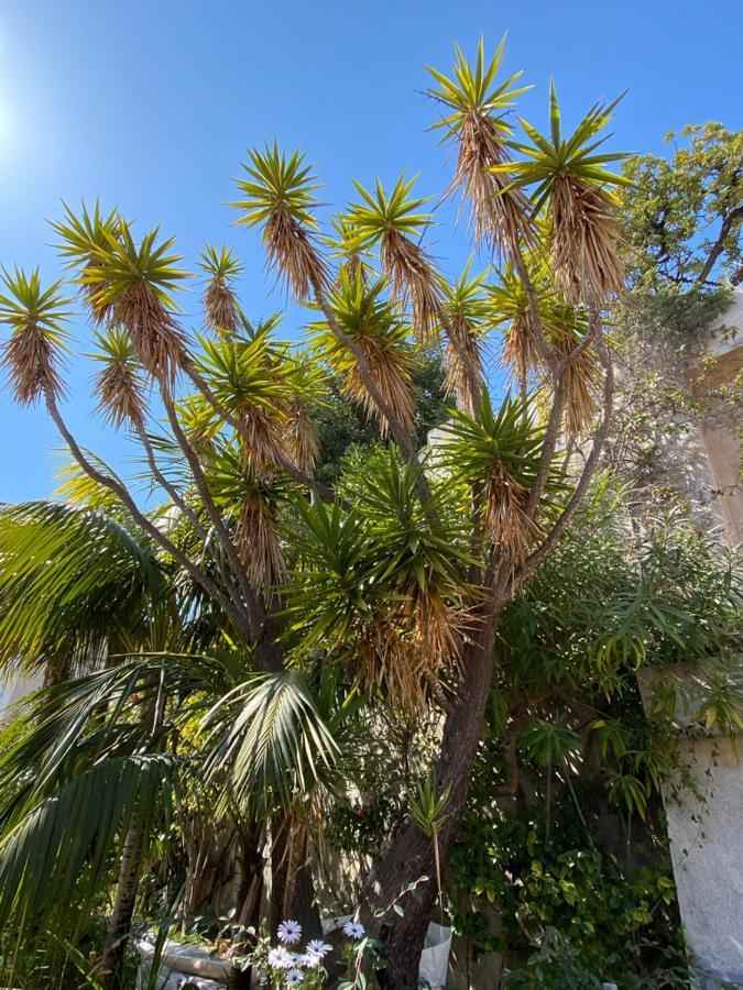 Villa L'Ensoleillee Vue Panoramique Mer, 250 M De La Plage Et Du Centre Ville Menton Dış mekan fotoğraf